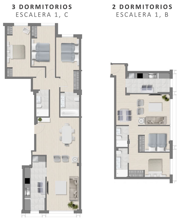 Escuza 4 Distribución Viviendas